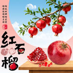 红石榴 