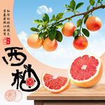 新鲜西柚 