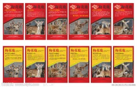 梅花鹿科普展板