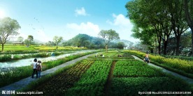 度假村田园风光