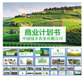 农业商业融资计划书 ppt模板