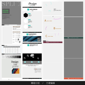 淘宝天猫女装空白通用模板图片