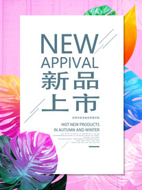 新品上市
