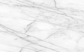 新上架奢华新鱼肚白 tif合层