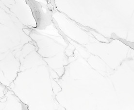 高雅奢华新鱼肚白 tif合层