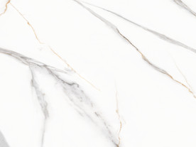 最新豪华鱼肚白 tif合层