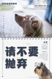 请不要抛弃 流浪动物