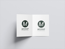 二折页宣传样机