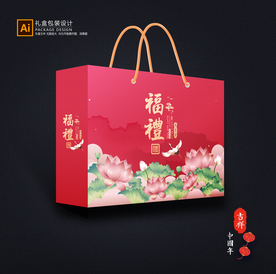 年货包装 新年礼盒