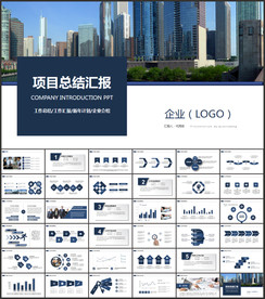 商务项目总结汇报ppt