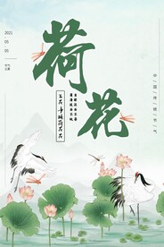 荷花