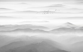 新中式电视背景墙