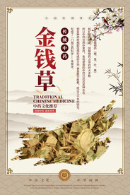 金钱草中药海报