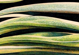 现代抽象几何地毯客厅卧室地毯