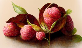 新中式手绘水果荔枝杨梅装饰画