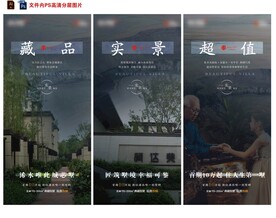 房地产别墅价值点刷屏微信稿海报