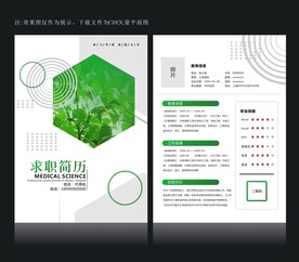 绿色简历设计