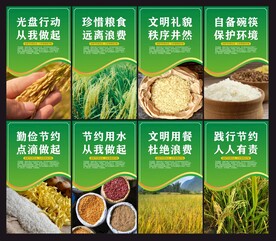 节约粮食挂画