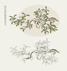 国画风植物