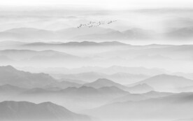 新中式意境水墨画背景墙