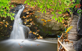 瀑布木桥风景电视背景墙