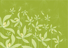 矢量装饰花卉图案