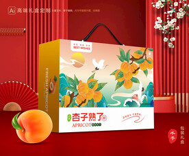 杏礼盒 黄杏包装