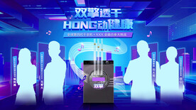 人物 明星 演唱会海报