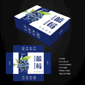 蓝莓包装