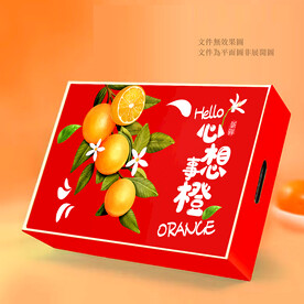 心想事橙包装