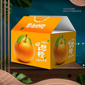 赣南脐橙包装 