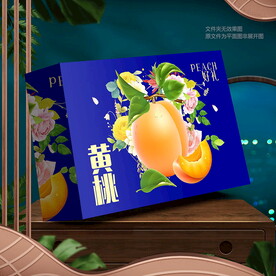 黄桃包装 礼盒