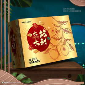 柑橘包装 