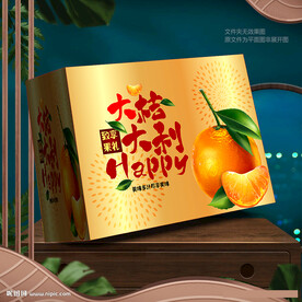 大桔大利包装