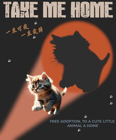 猫海报