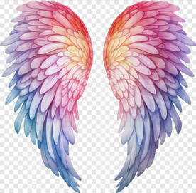 粉色渐变华丽翅膀