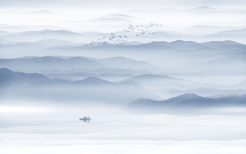 禅意水墨画背景墙