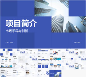 项目简介PPT