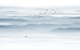 禅意水墨山水画