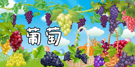 葡萄背景墙