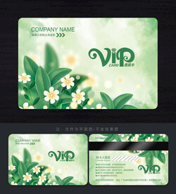 绿色会员卡 