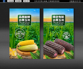  玉米海报