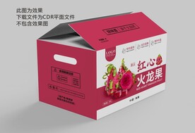火龙果包装 水果礼盒