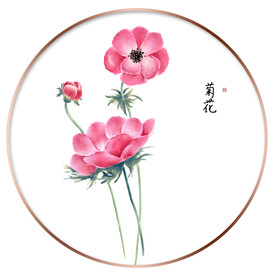 雏菊