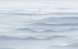 群山远山背景图