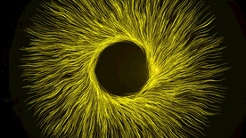 4k粒子光线抽象旋转背景Ae