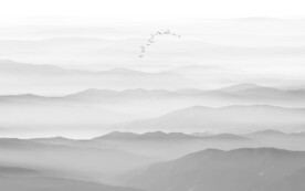 灰色抽象水墨山水画