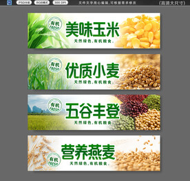 杂粮展板