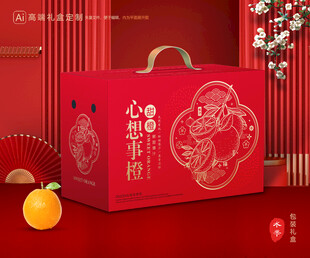 橙子包装 脐橙礼盒