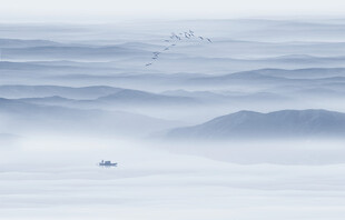 禅意水墨山水画背景墙